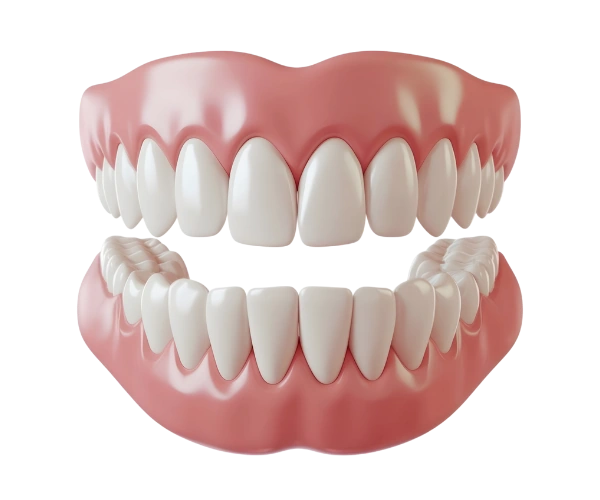 Teeth Cleaning
